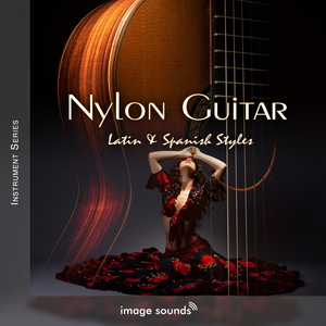 NYLON GUITAR - LATIN & SPANISH STYLES