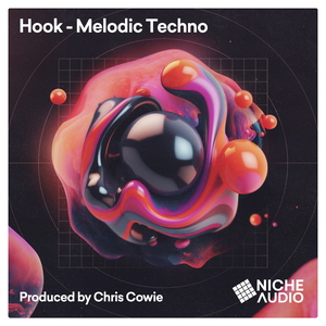 HOOK - MELODIC TECHNO