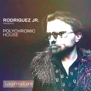 RODRIGUEZ JR. - POLYCHROMIC HOUSE