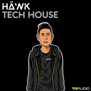 TD AUDIO - HAWK TECH-HOUSE