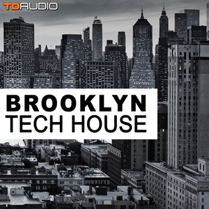 TD AUDIO - BROOKLYN TECH HOUSE