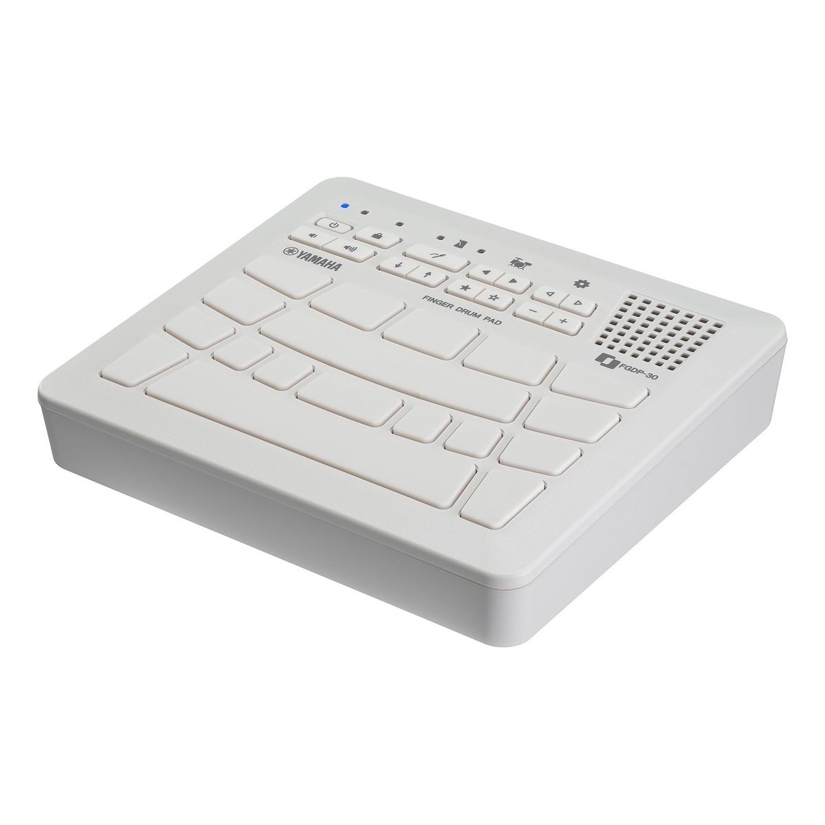 FGDP-30