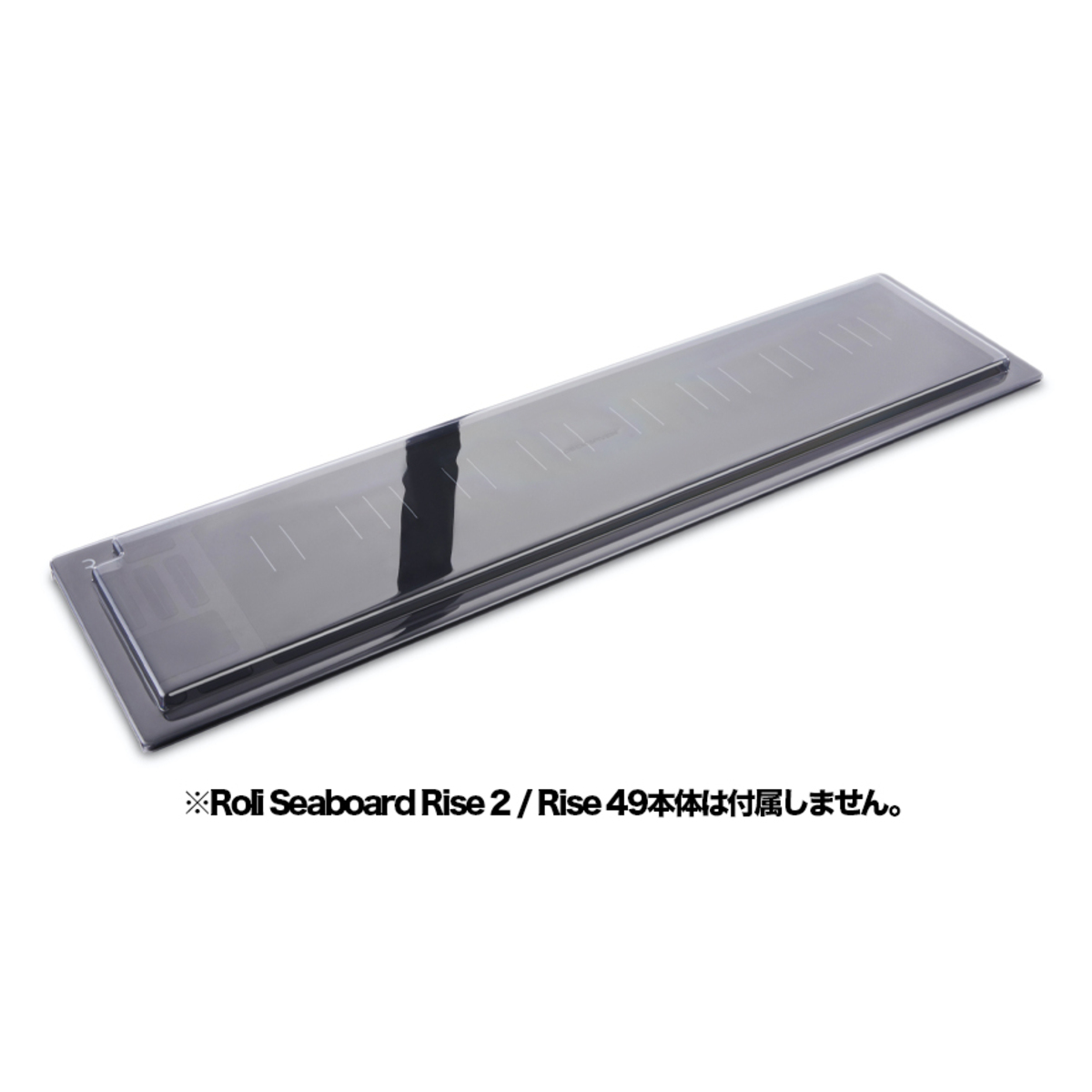 DS-PC-RISE249