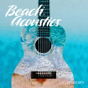 BEACH ACOUSTICS