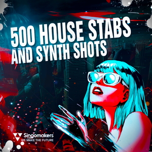 500 HOUSE STABS AND SYNTH SHOTS