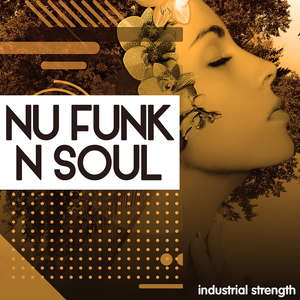 NU FUNK N SOUL