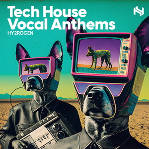 TECH HOUSE VOCAL ANTHEMS