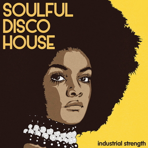 SOULFUL DISCO HOUSE