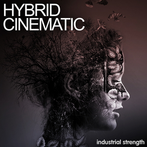 HYBRID CINEMATIC