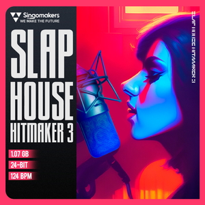 SLAP HOUSE HITMAKER 3