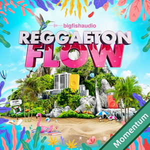 REGGAETON FLOW MMT