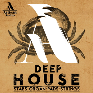 DEEP HOUSE - STABS ORGAN PADS & STRINGS