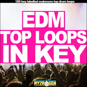 EDM TOP LOOPS IN KEY