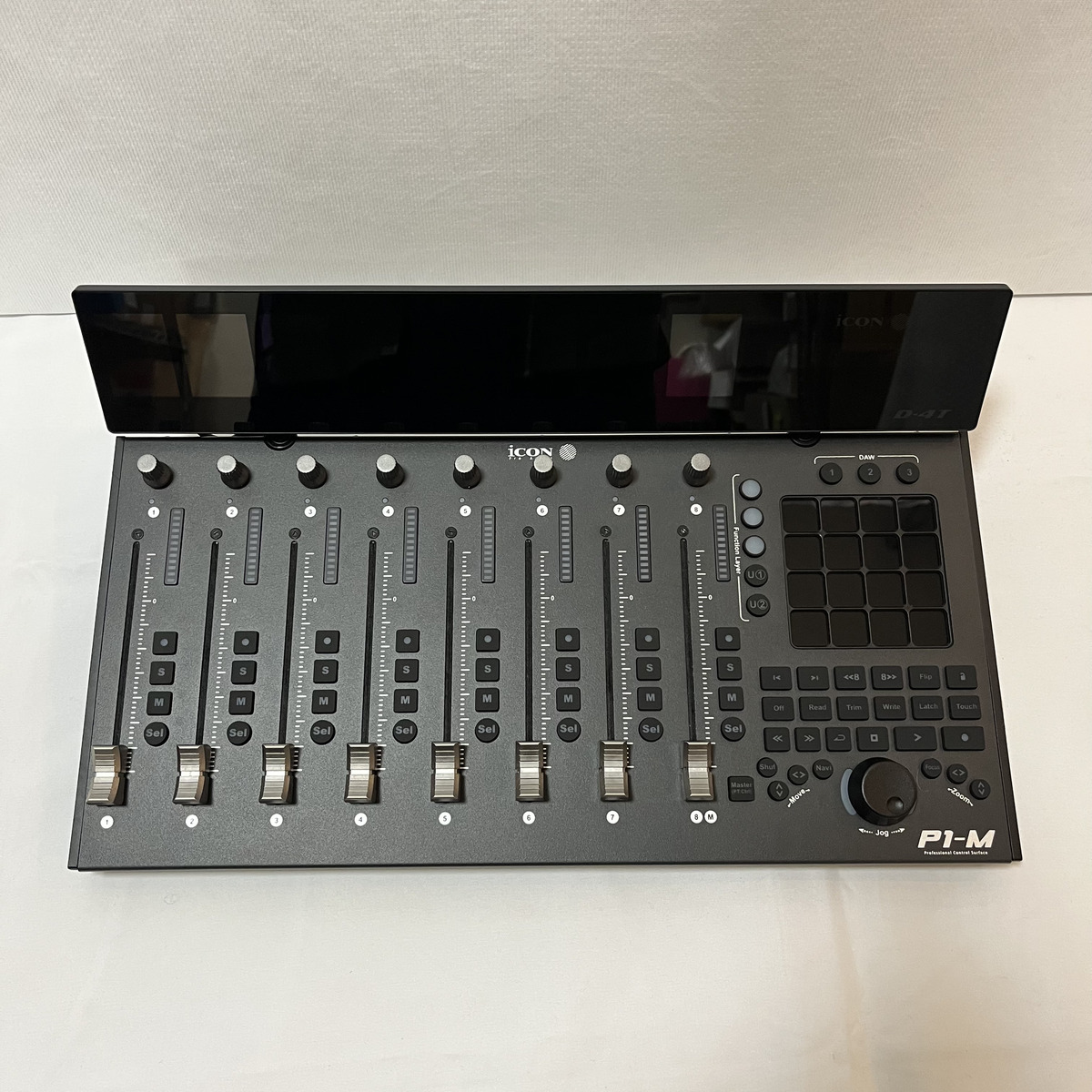 P1-M + D4T