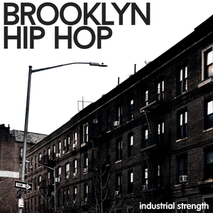 BROOKLYN HIP HOP