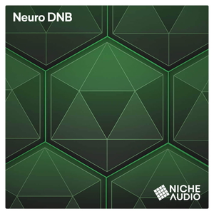 DNB SELECTA FOR MASCHINE