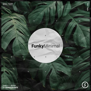 FUNKY MINIMAL