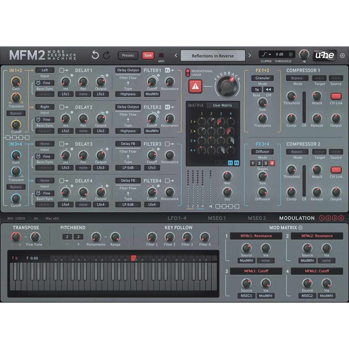 MFM2