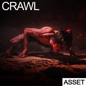 CRAWL - ASSET