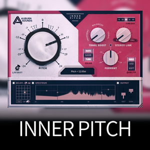 INNER PITCH