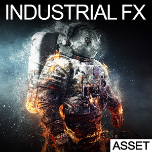 INDUSTRIAL FX - ASSET