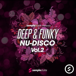 DEEP & FUNKY NU-DISCO 2