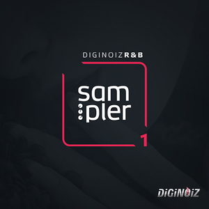 DIGINOIZ R&B SAMPLER 1