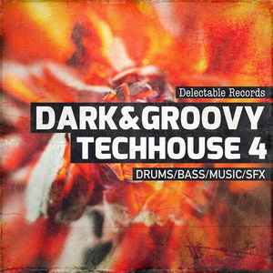 DARK AND GROOVY TECHHOUSE 04