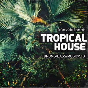 DELECTABLE RECORDS PRESENT - TROPICAL HOUSE 01