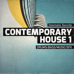 CONTEMPORARY HOUSE 01