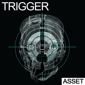 TRIGGER - ASSET