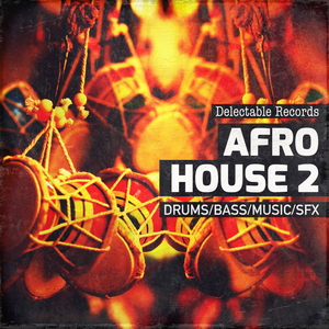 DELECTABLE RECORDS - AFRO HOUSE 02