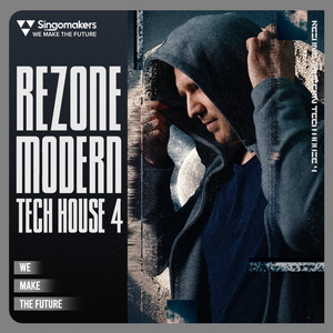 REZONE MODERN TECH HOUSE 4