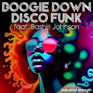 BOOGIE DOWN DISCO FUNK FEAT BASHIRI JOHNSON