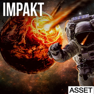 IMPAKT - ASSET