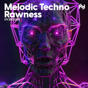 MELODIC TECHNO RAWNESS
