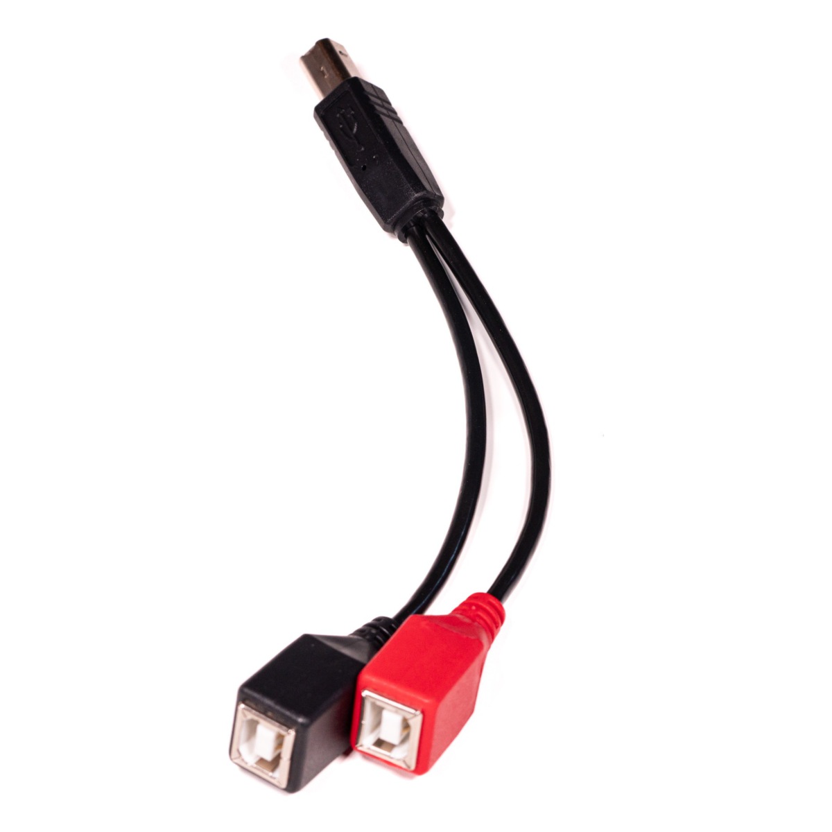 USB B Splitter Cable for Bluebox