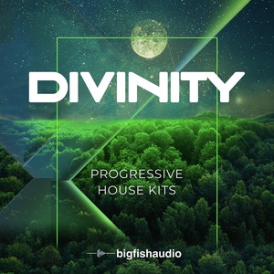 DIVINITY - PROGRESSIVE HOUSE KITS
