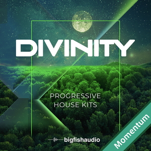 DIVINITY - PROGRESSIVE HOUSE KITS MMT