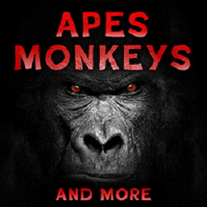 APES, MONKEYS & MORE