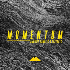 MOMENTUM