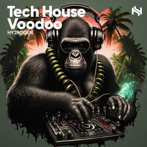 TECH HOUSE VOODOO