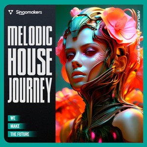 MELODIC HOUSE JOURNEY