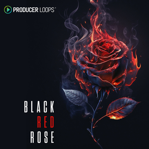 BLACK RED ROSE