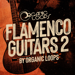 FLAMENCO GUITARS 2