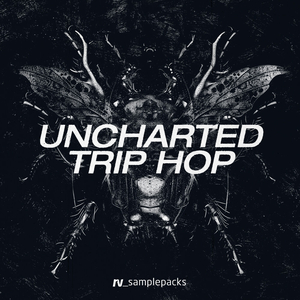 UNCHARTED TRIP HOP