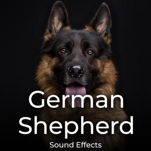 GERMAN SHEPHERD SOUND EFFECTS