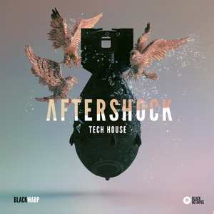 AFTERSHOCK TECH HOUSE BY BLACKWARP