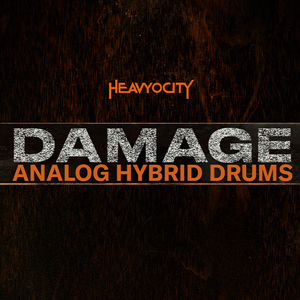 ANALOG HYBRID DRUMS