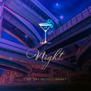 ONE DAY MUSIC LIBRARY - NIGHT